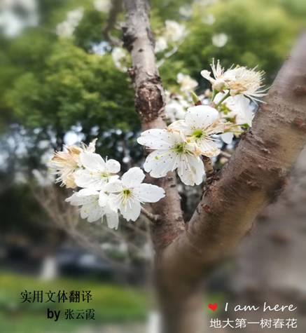 //touqingzp.com/__local/0/57/0F/CA3A8440F354120DF2A42439B9B_9D94EB90_712D.jpg
