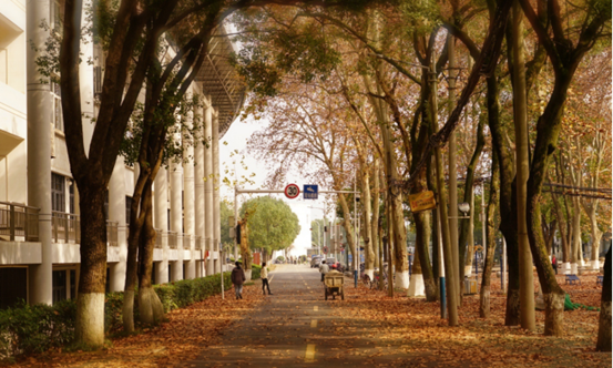 说明: //rcb.touqingzp.com/__local/F/DC/AD/26AAF68465C39908E951504ECA2_E70C2E5D_119062.png